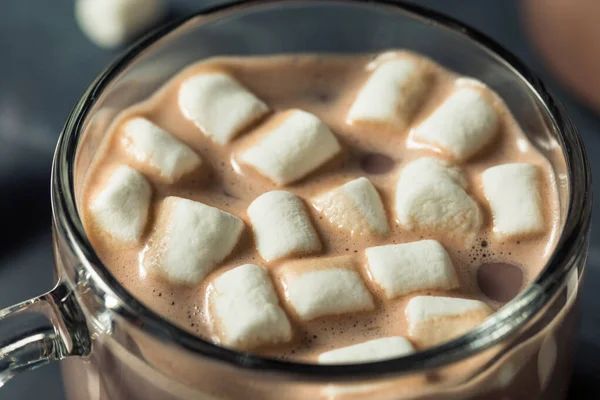 Warme Chocolade Warme Chocolademelk Met Marshmallows Een Mok — Stockfoto