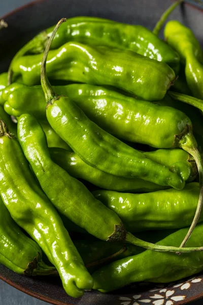 Raw Green Organic Shashito Peppers Siap Untuk Memasak — Stok Foto