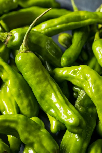 Raw Green Organic Shashito Peppers Ready Cook — Fotografia de Stock