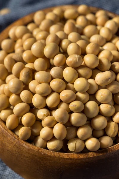 Dry Organic Soy Beans Bowl — Stock Photo, Image