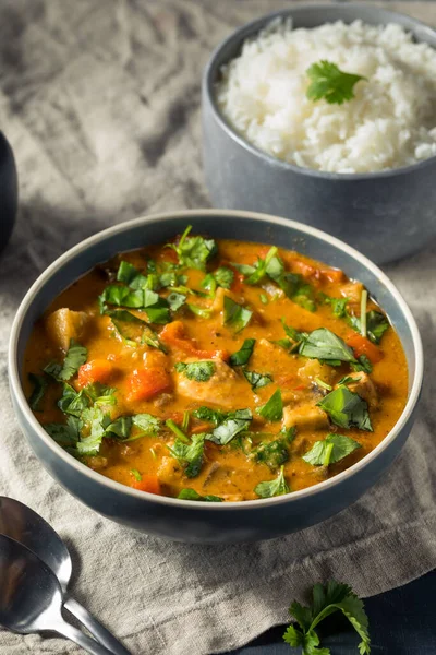 Curry Casero Pollo Rojo Con Cilantro Arroz — Foto de Stock