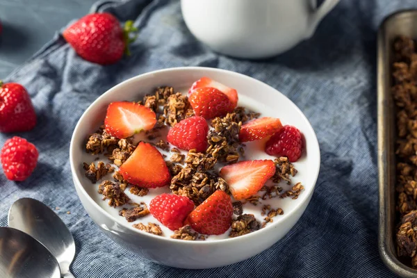 Granola Chocolate Casero Saludable Para Comer Para Desayuno —  Fotos de Stock