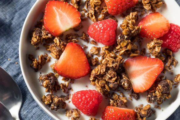 Healthy Homemade Chocolate Granola Eat Breakfast — Stock Photo, Image