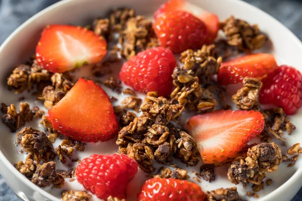 Friska Hemlagad Choklad Granola Att Äta Till Frukost — Stockfoto