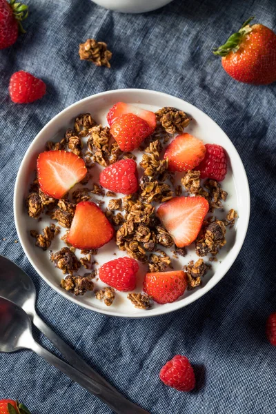 Здоровый Домашний Шоколад Granola Завтрак — стоковое фото