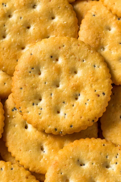 Gezonde Bruine Ronde Hele Tarwe Krakers Een Schotel — Stockfoto