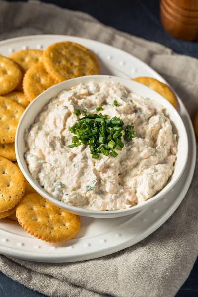 Salsa Salmón Ahumado Casera Con Cebolletas Galletas Saladas — Foto de Stock