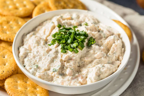 Salsa Salmón Ahumado Casera Con Cebolletas Galletas Saladas — Foto de Stock