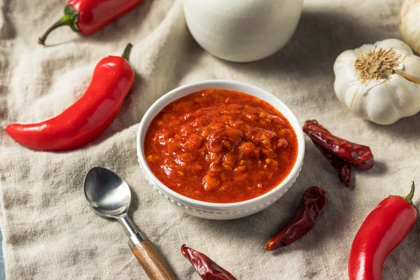 Pasta Harissa Roja Orgánica Casera Tazón — Foto de Stock