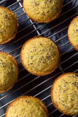 Kahvaltıda yemek için ev yapımı limonlu haşhaşlı kek.