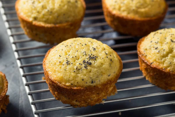 Homemade Lemon Poppyseed Muffins Eat Breakfast — Stock Photo, Image