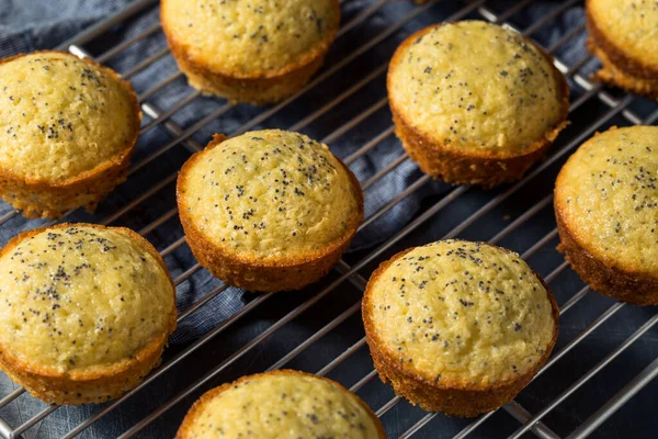 Zelfgemaakte Citroen Poppyseed Muffins Eten Als Ontbijt — Stockfoto