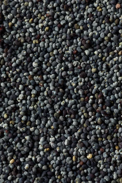 Raw Organic Poppy Seeds Bowl — Stock Photo, Image