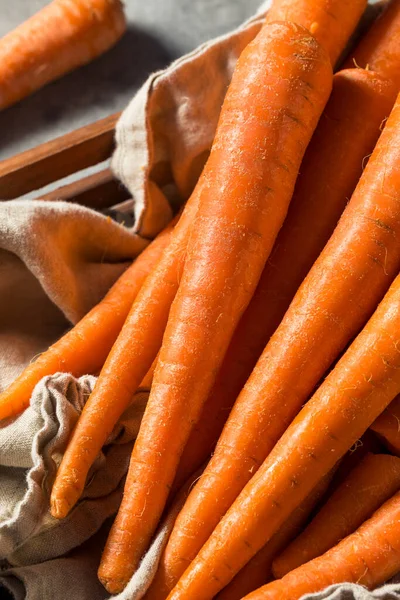 Raw Orange Organic Carrots Bunch — Stock Photo, Image