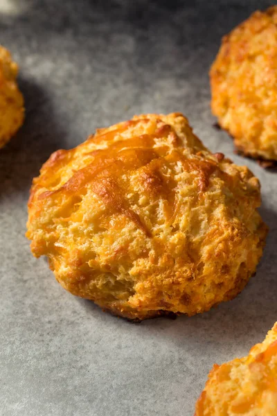 Homemade Buttermilk Cheddar Biscuits Ready Eat — Stock Photo, Image