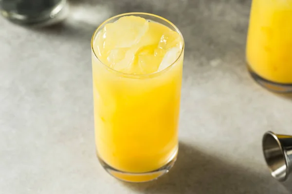 Gin Rafraîchissant Froid Boozy Jus Dans Verre — Photo