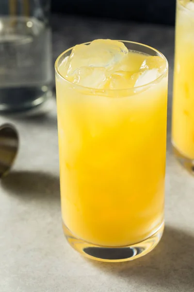 Gin Rafraîchissant Froid Boozy Jus Dans Verre — Photo