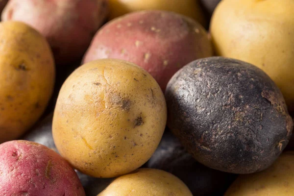 Сіро Органічне Маля Картопля — стокове фото