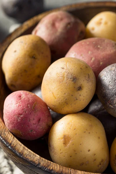 Patatas Bebé Orgánicas Crudas Listas Para Cocinar — Foto de Stock