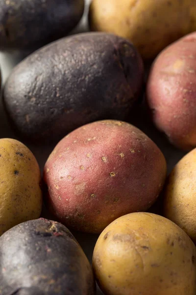 Patatas Bebé Orgánicas Crudas Listas Para Cocinar — Foto de Stock