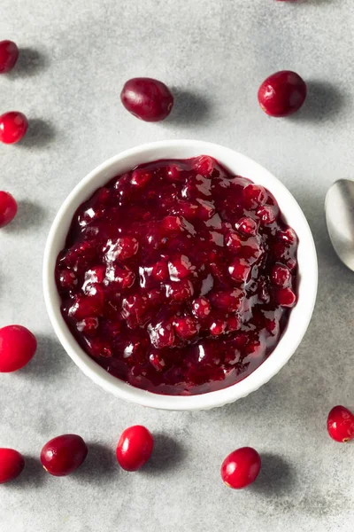 Homemade Sweet Lingonberry Jam Bowl — Stock Photo, Image