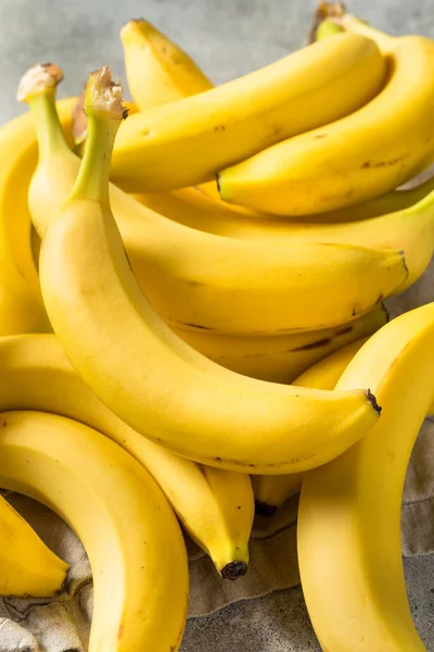 Bunch Bananes Jaunes Crues Biologiques Prêt Manger — Photo