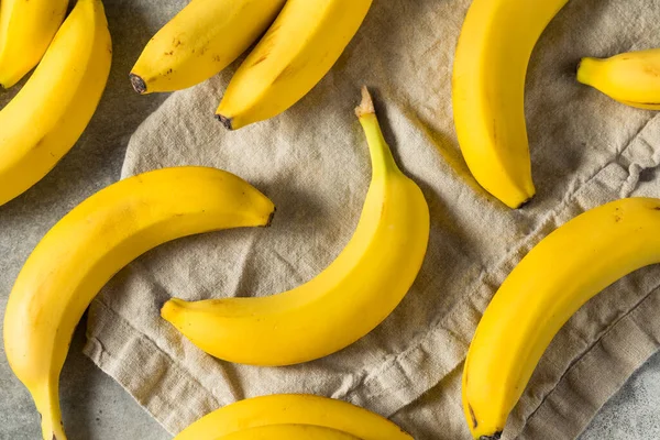 Органическая Сырая Желтая Банда Бананов Готовая Употреблению — стоковое фото