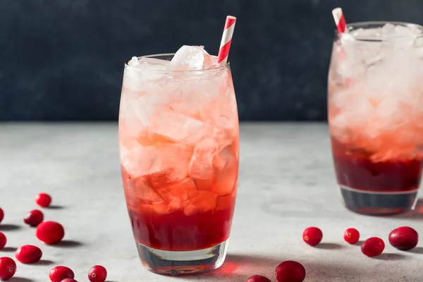 Refrescante Refresco Casero Lingonberry Soda Con Hielo Una Paja — Foto de Stock