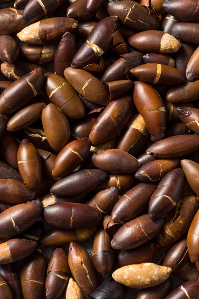 Raw Brown Organic Brazilian Baru Nuts Bowl — Stock Photo, Image
