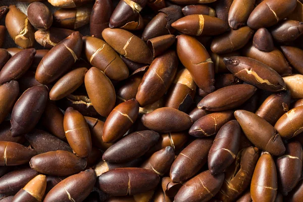 Raw Brown Organic Brazilian Baru Nuts Bowl — Stock Photo, Image