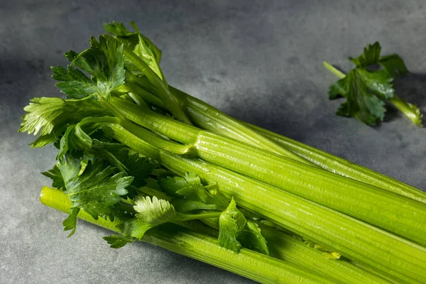 Raw Green Organic Selery Stalks Een Bunch — Stockfoto