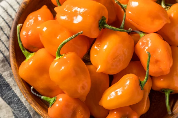 Pedas Raw Organik Habanero Peppers Dalam Mangkuk — Stok Foto