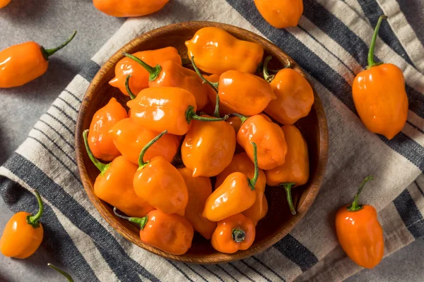 Pedas Raw Organik Habanero Peppers Dalam Mangkuk — Stok Foto