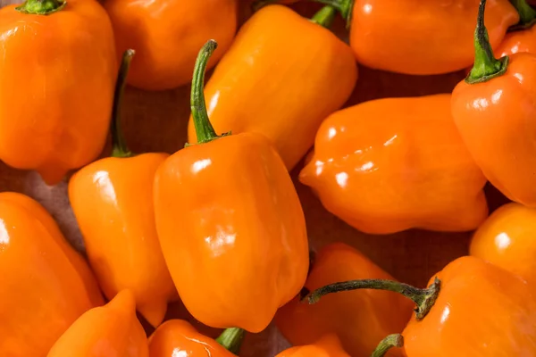 Poivrons Habanero Bio Crus Épicés Dans Bol — Photo