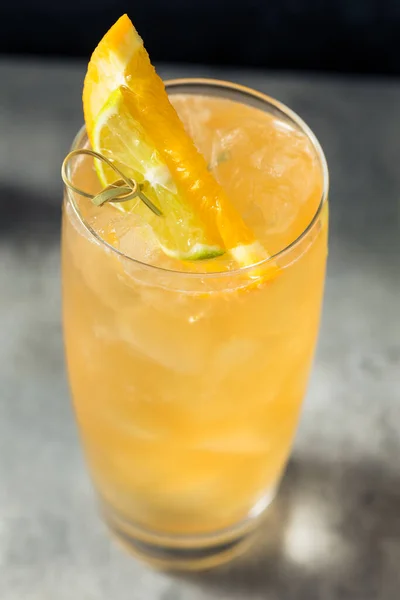 Cold Boozy Rum Anejo Highball Cocktail Ginger Beer — стокове фото