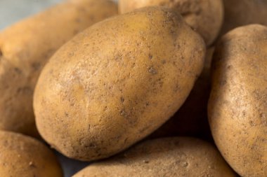 Bir demet çiğ organik Russet Patates