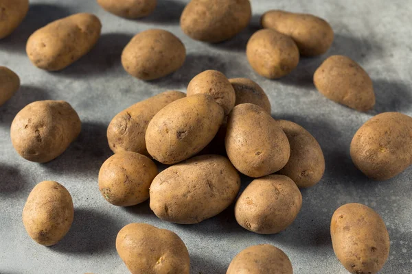 Raw Organic Russet Potatoes Bunch — Stock Photo, Image