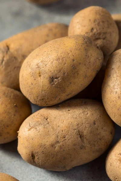 Patatas Russet Orgánicas Crudas Racimo — Foto de Stock