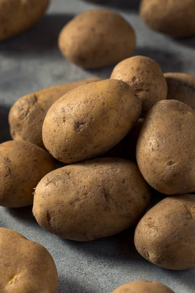 Surowe Organiczne Ziemniaki Russet Bunch — Zdjęcie stockowe
