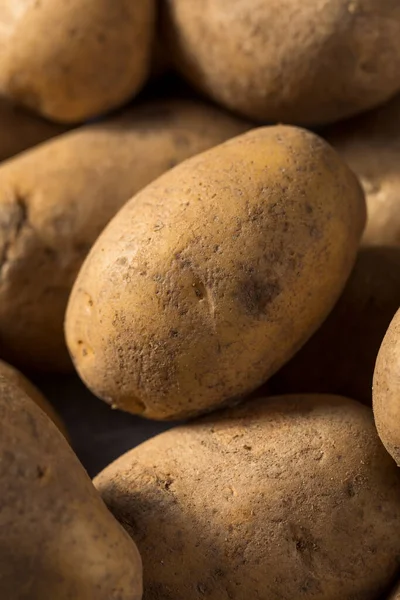 Rohe Bio Russet Kartoffeln Bündel — Stockfoto