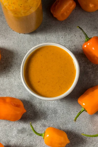 Domácí Bio Habanero Hot Sauce Láhvi — Stock fotografie