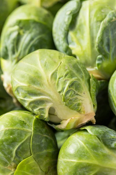 Raw Green Organic Brussel Sprouts Ready Cook — Stock Photo, Image