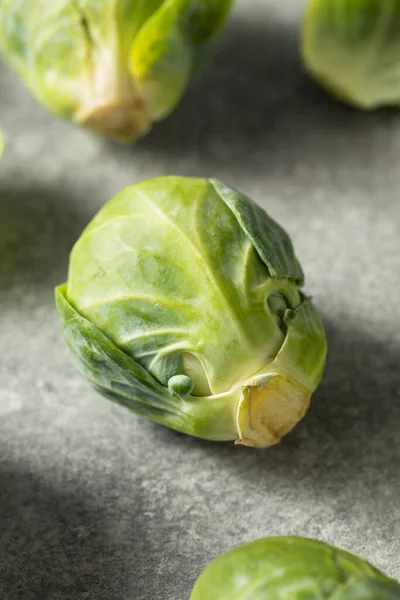 Raw Green Organic Brussel Klíčky Připravené Vaření — Stock fotografie