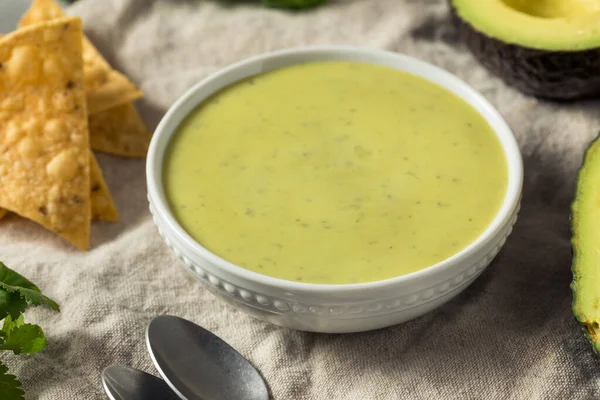 Salsa Abacate Verde Mexicano Caseiro Com Tortilla Chips — Fotografia de Stock