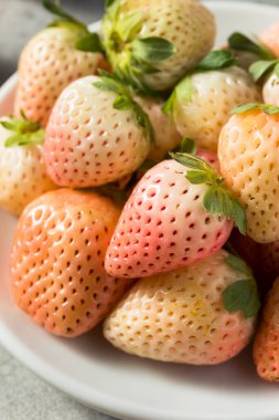 Organik Çiğ Pembe Pineberry Çilek Kasesi