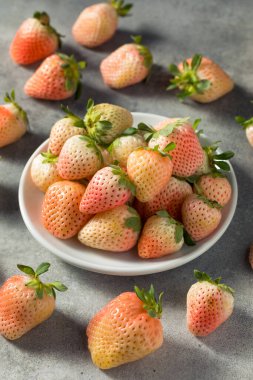 Organik Çiğ Pembe Pineberry Çilek Kasesi