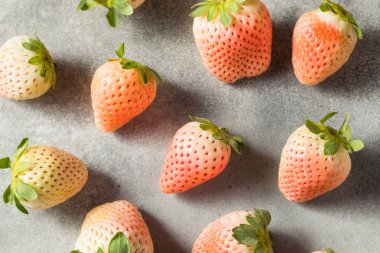 Organik Çiğ Pembe Pineberry Çilek Kasesi