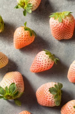 Organik Çiğ Pembe Pineberry Çilek Kasesi