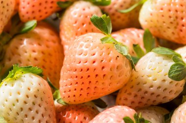 Organik Çiğ Pembe Pineberry Çilek Kasesi
