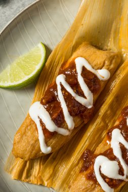 Salsa ve kremalı ev yapımı sığır eti.